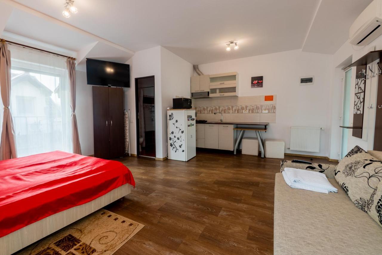 Nice & Cozy Apartments 蒂米什瓦拉 外观 照片
