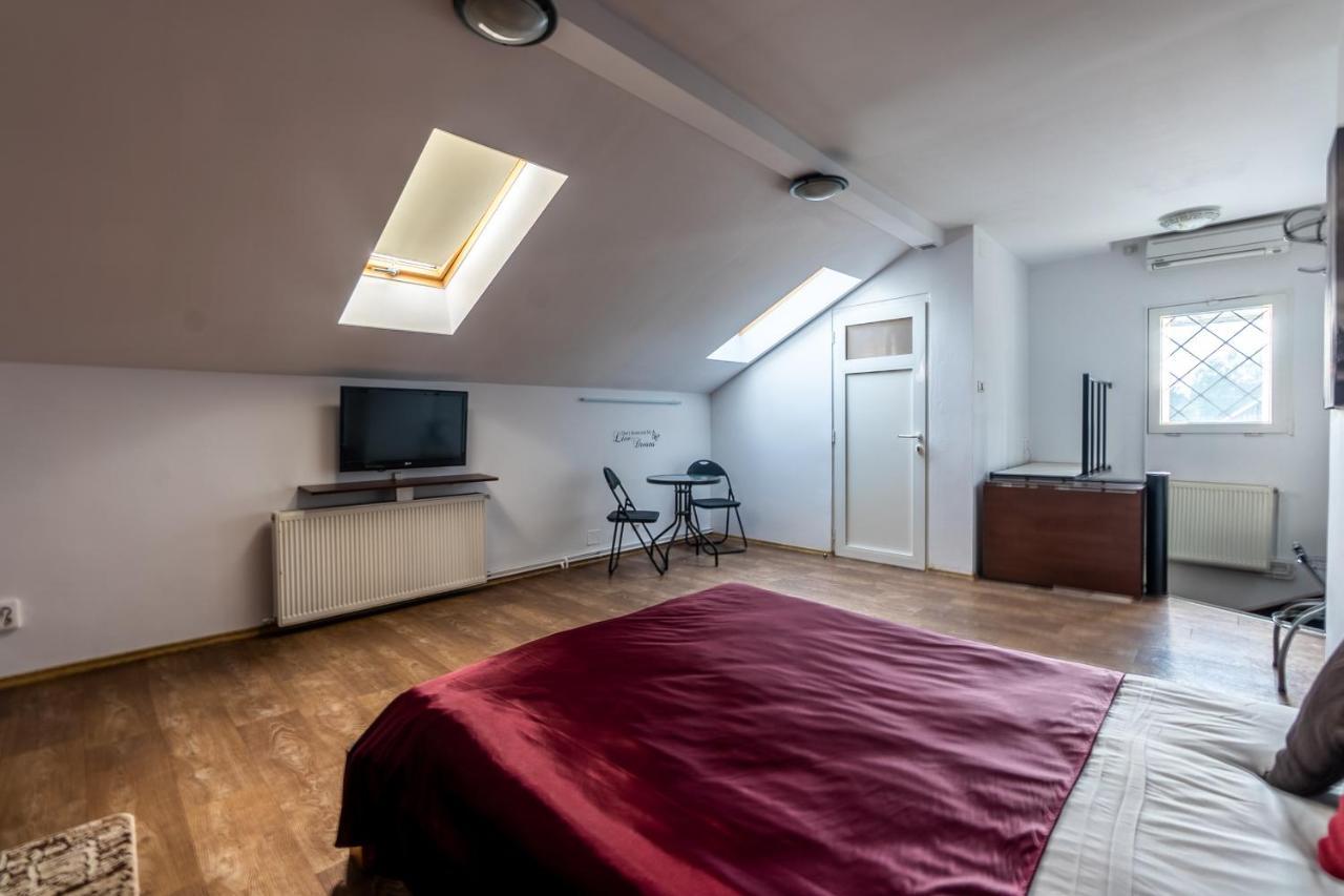Nice & Cozy Apartments 蒂米什瓦拉 外观 照片