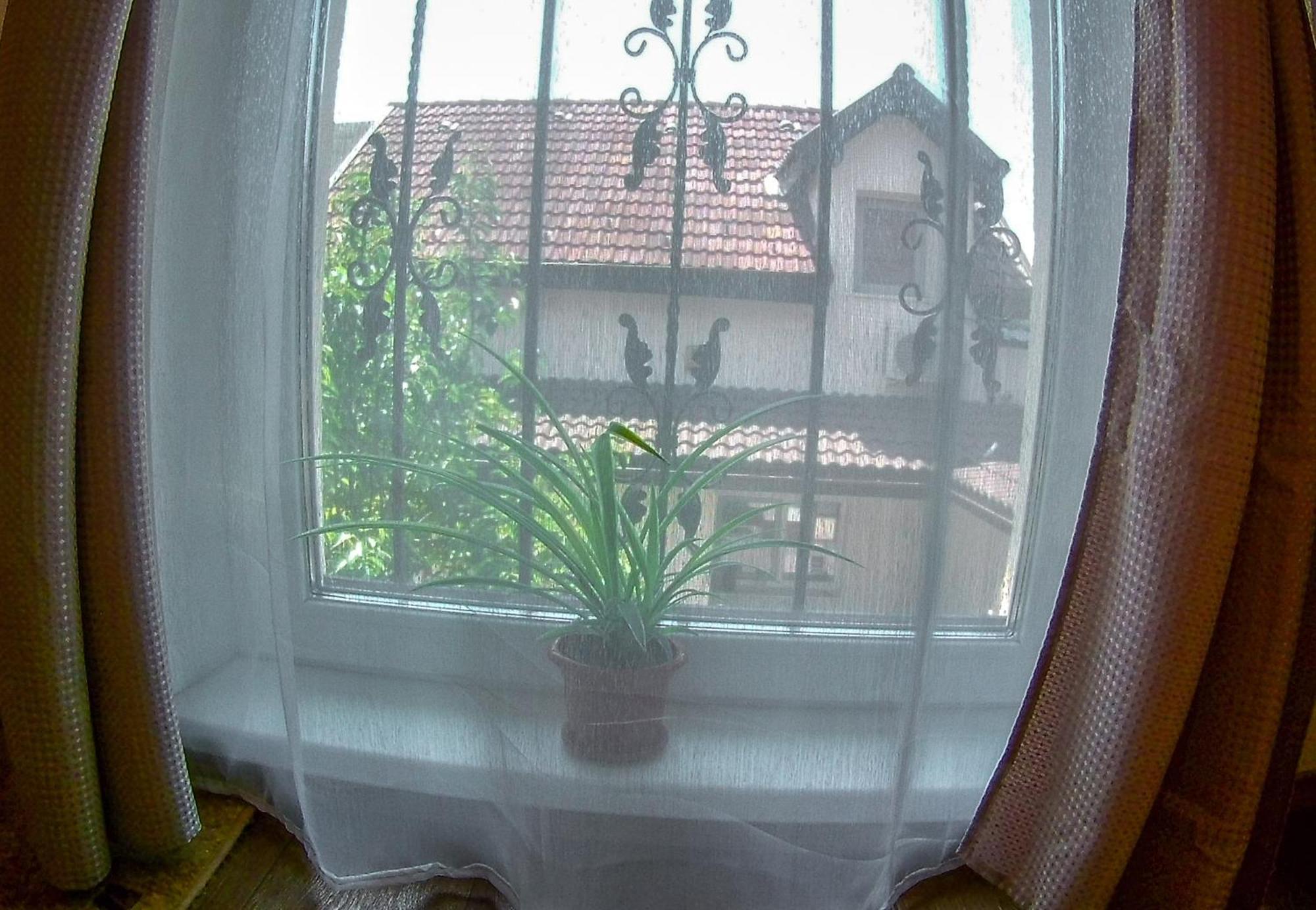Nice & Cozy Apartments 蒂米什瓦拉 客房 照片